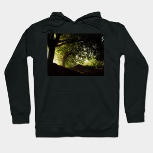 Light breakthrough Hoodie